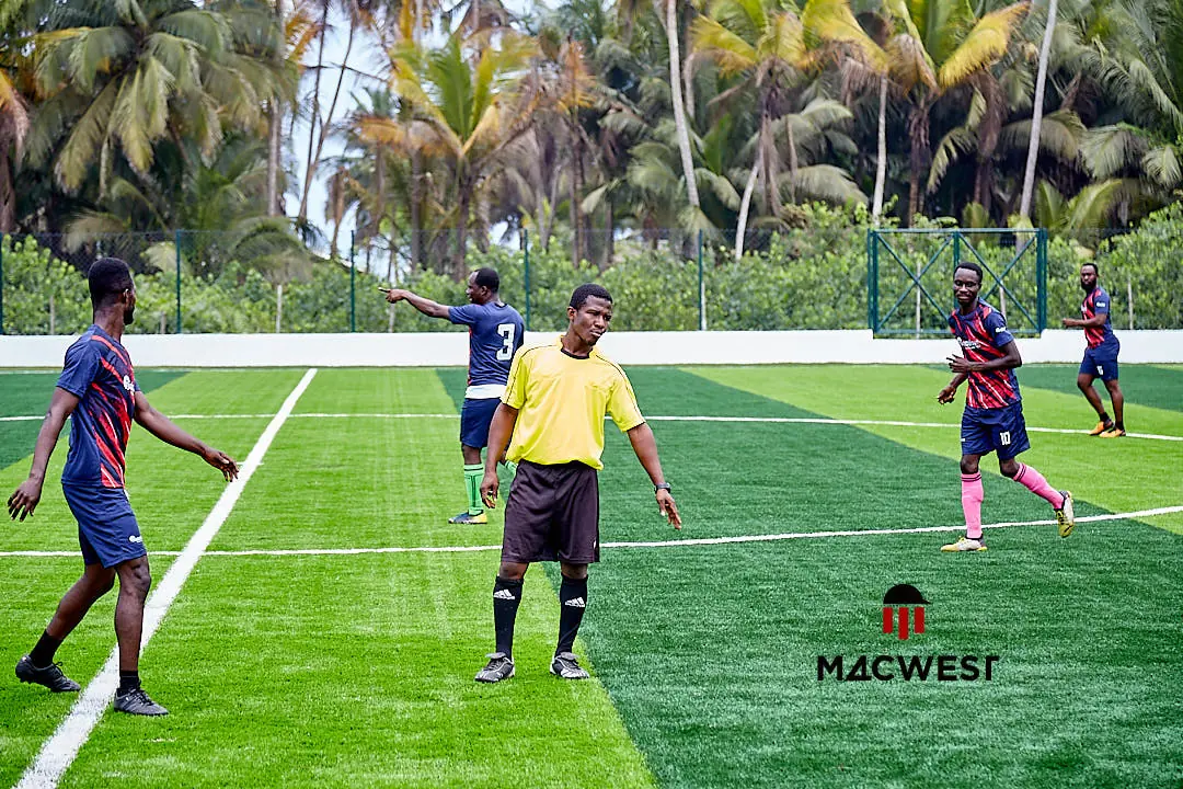 Astroturf project